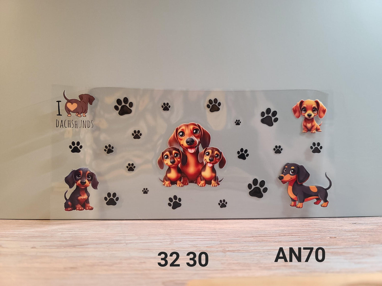 AN70