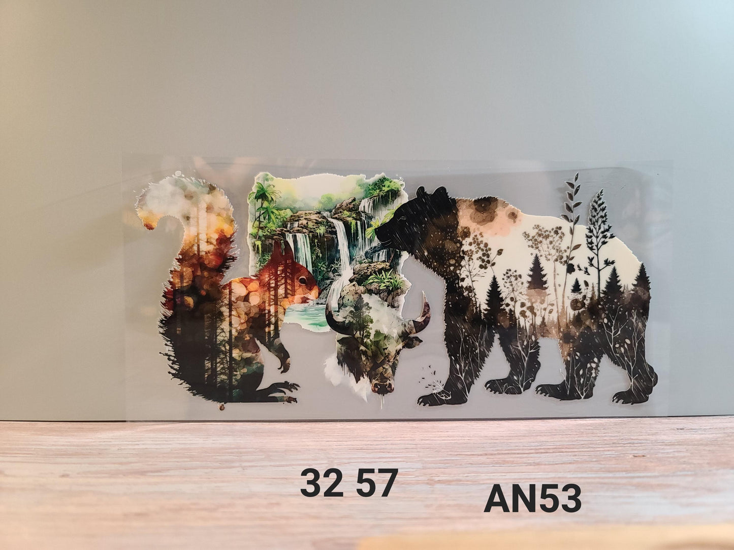 AN53