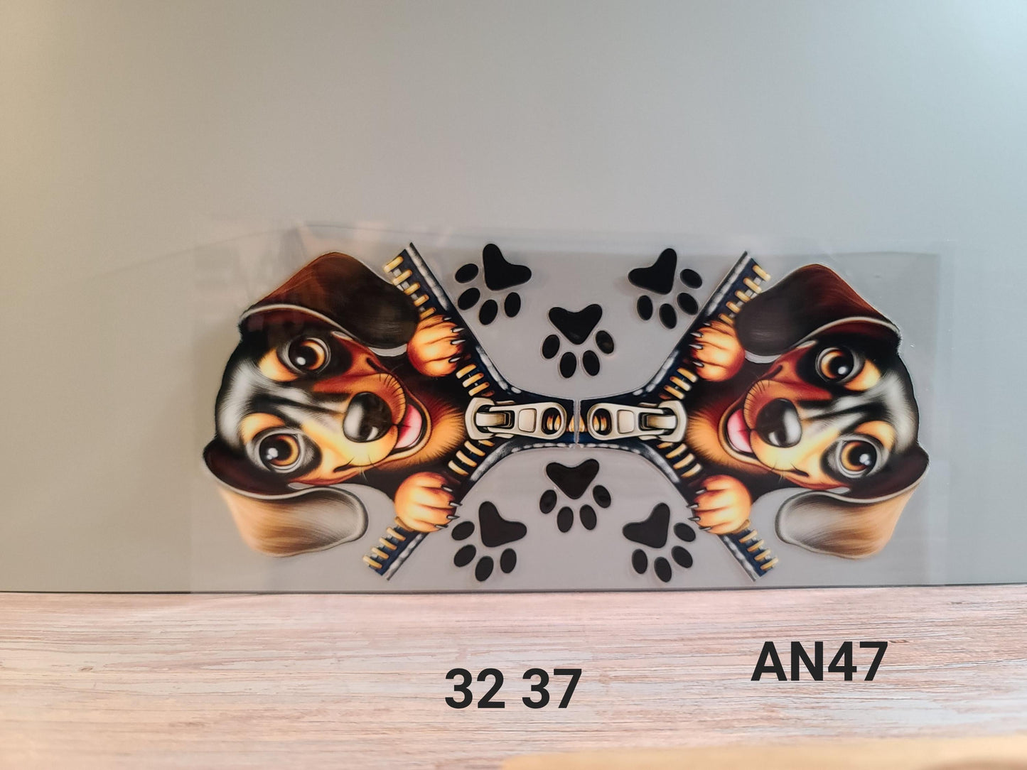 AN47