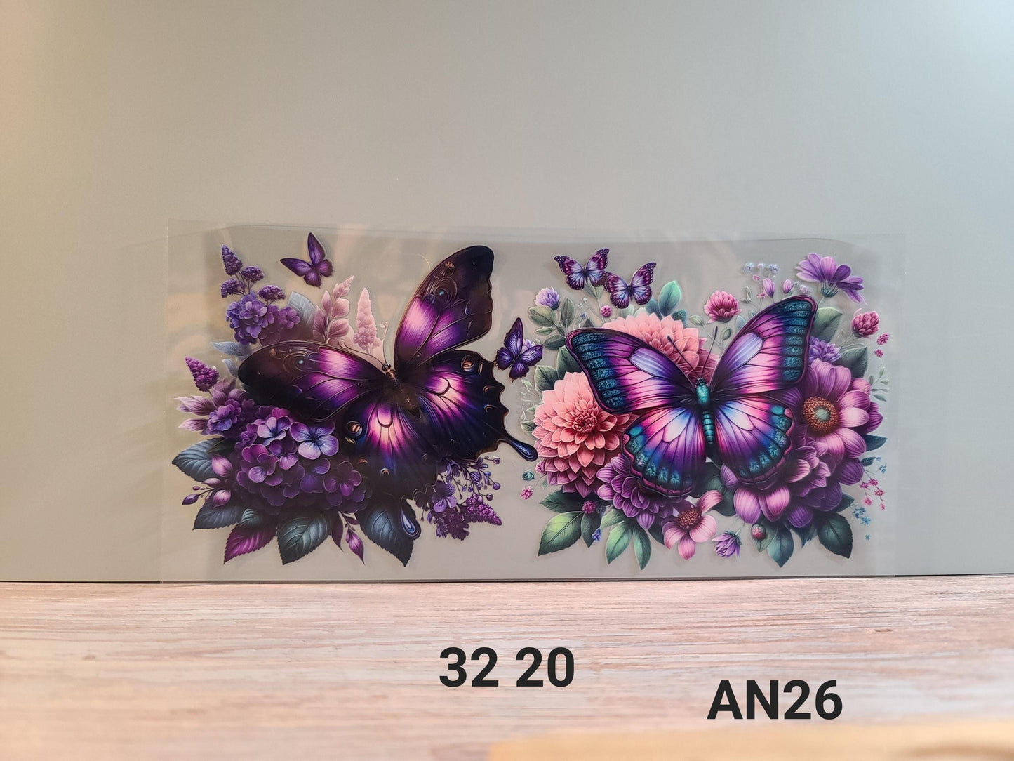 AN26