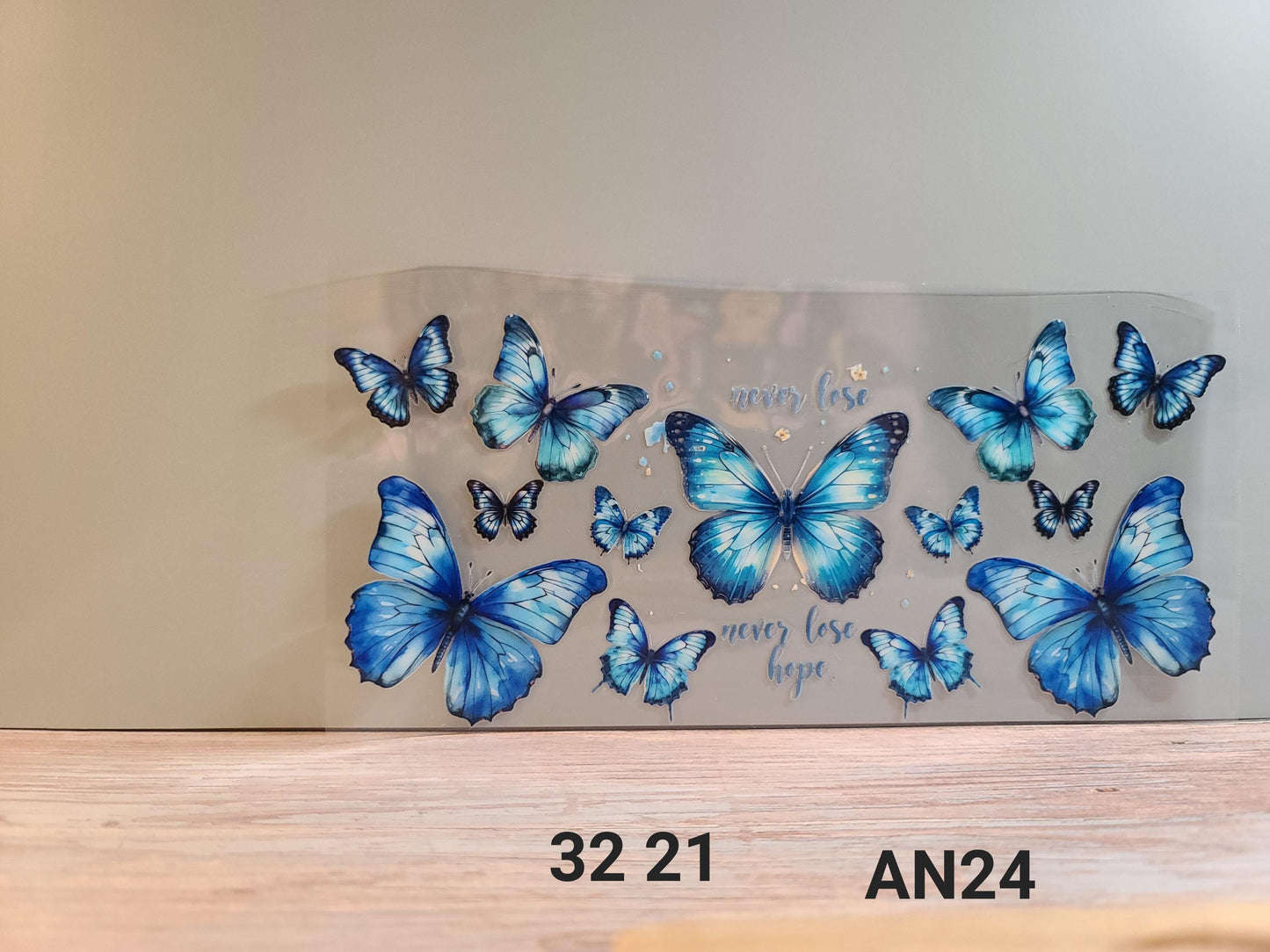 AN24