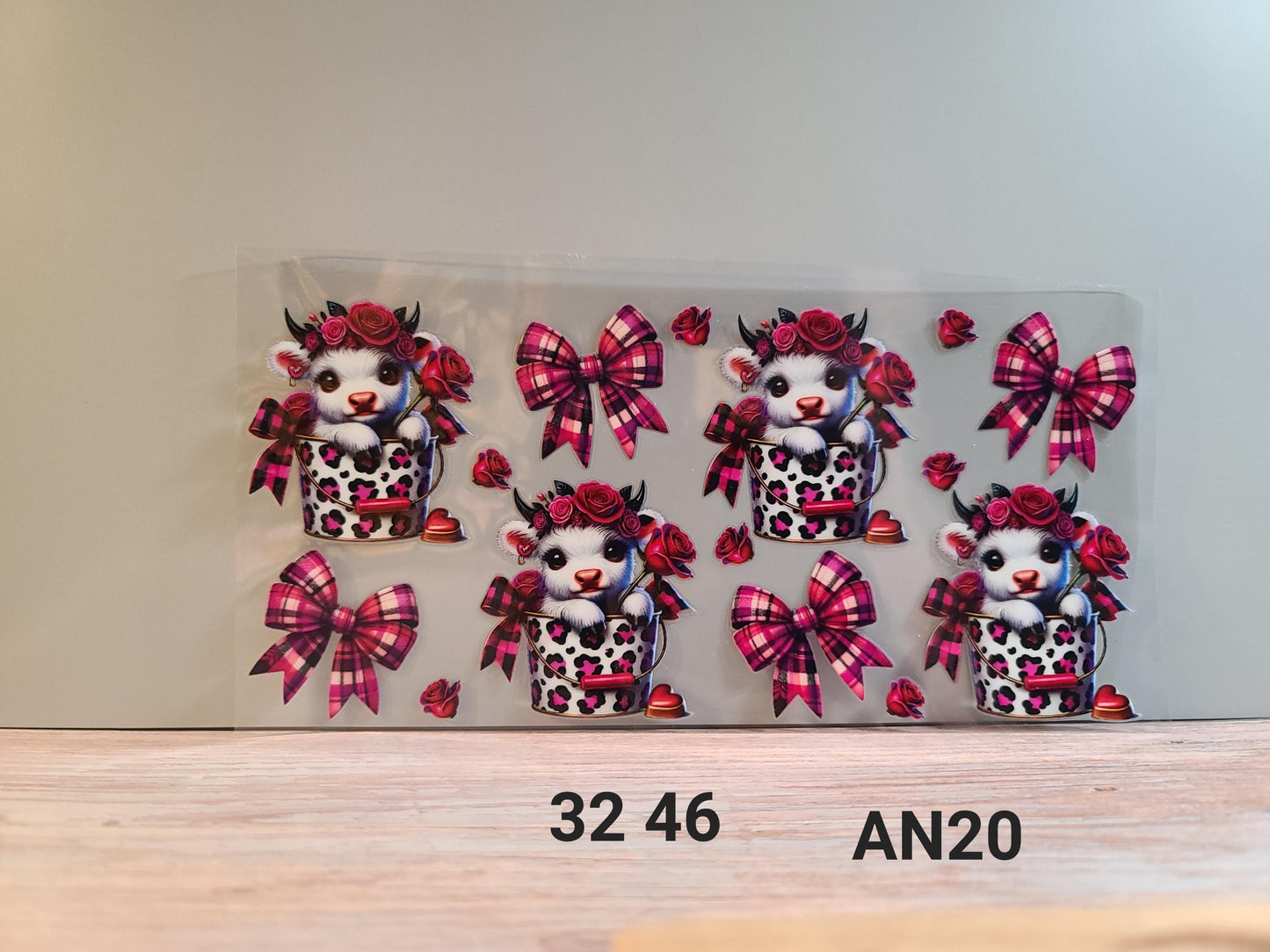 AN20