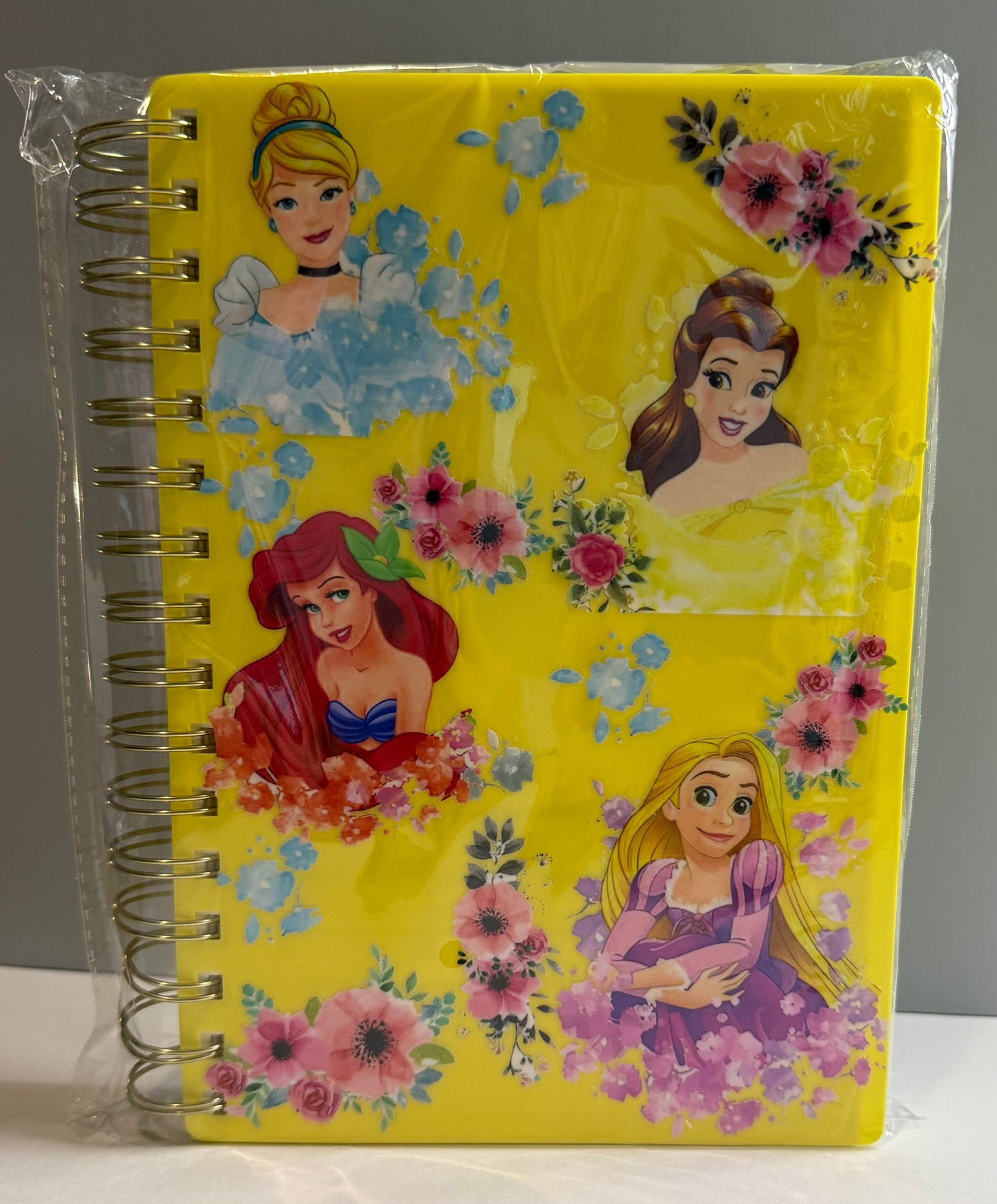 Princess Spiral Notebook 5.5 x 8.25