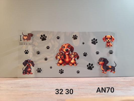 AN70