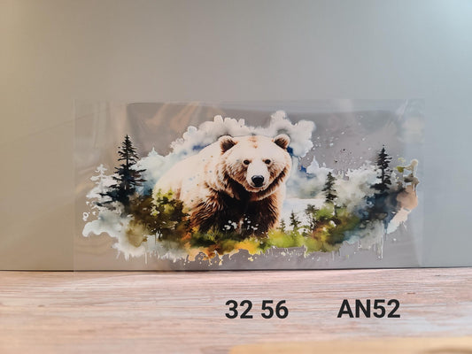 AN52