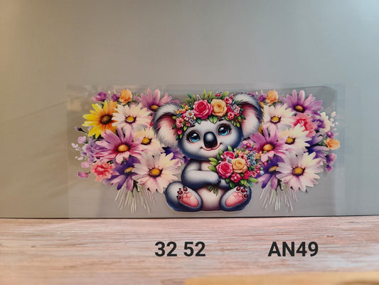 AN49