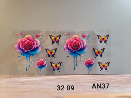 AN37