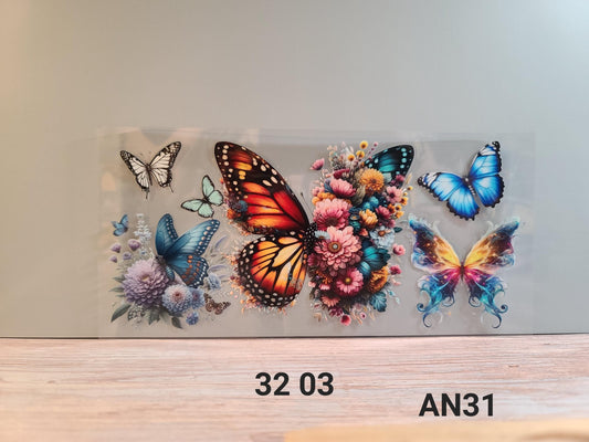 AN31