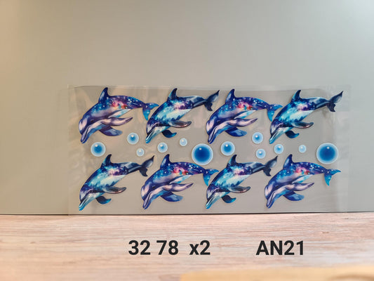 AN21