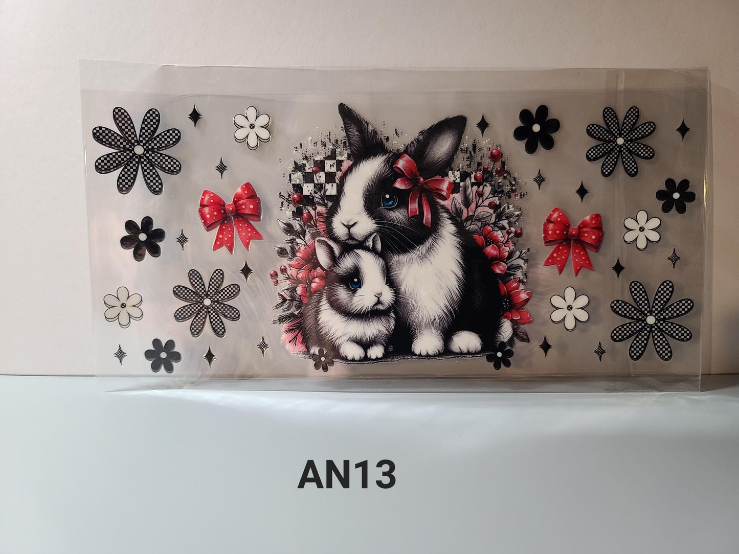 AN13