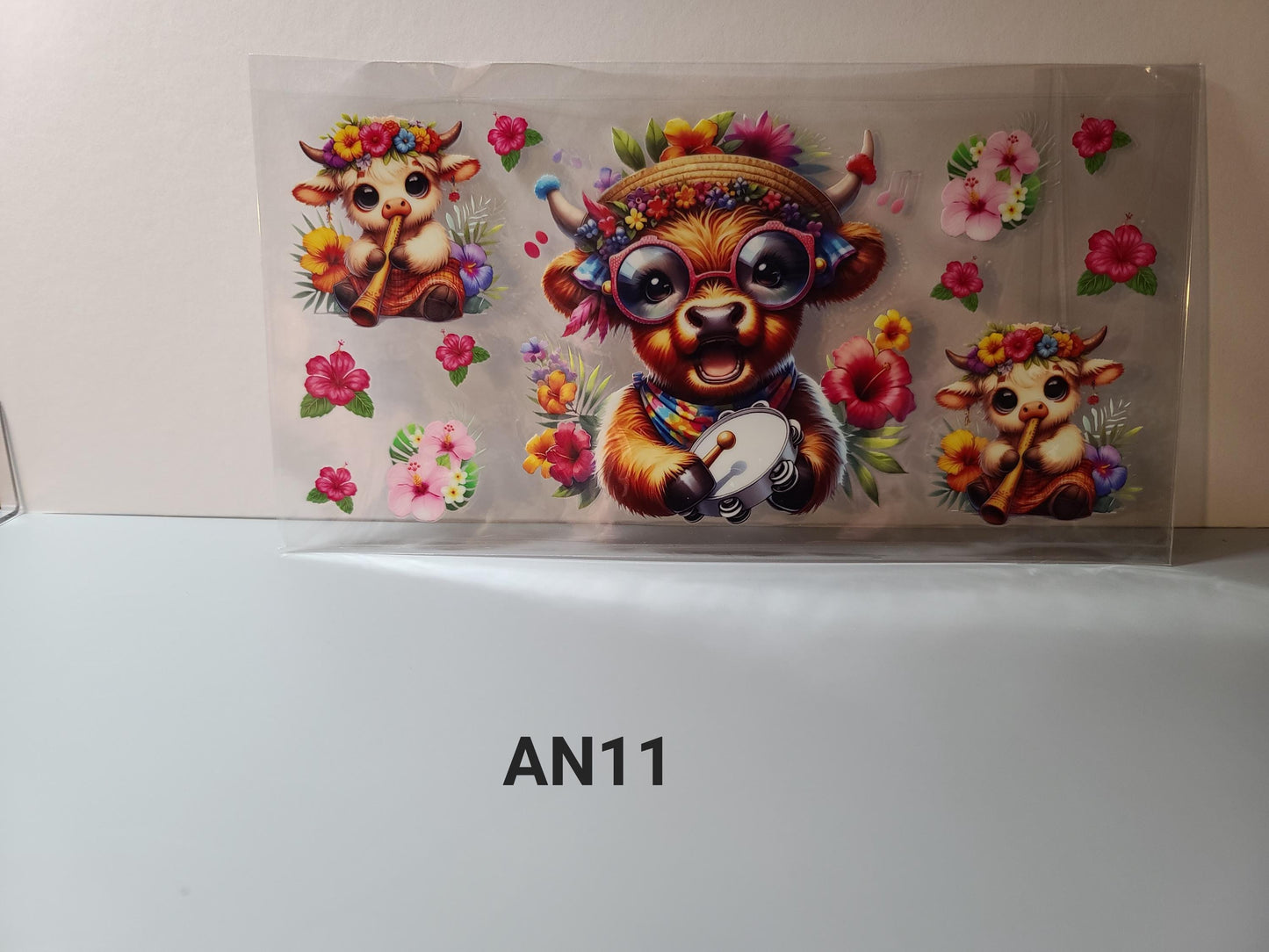 AN11