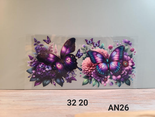 AN26