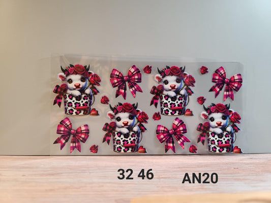 AN20