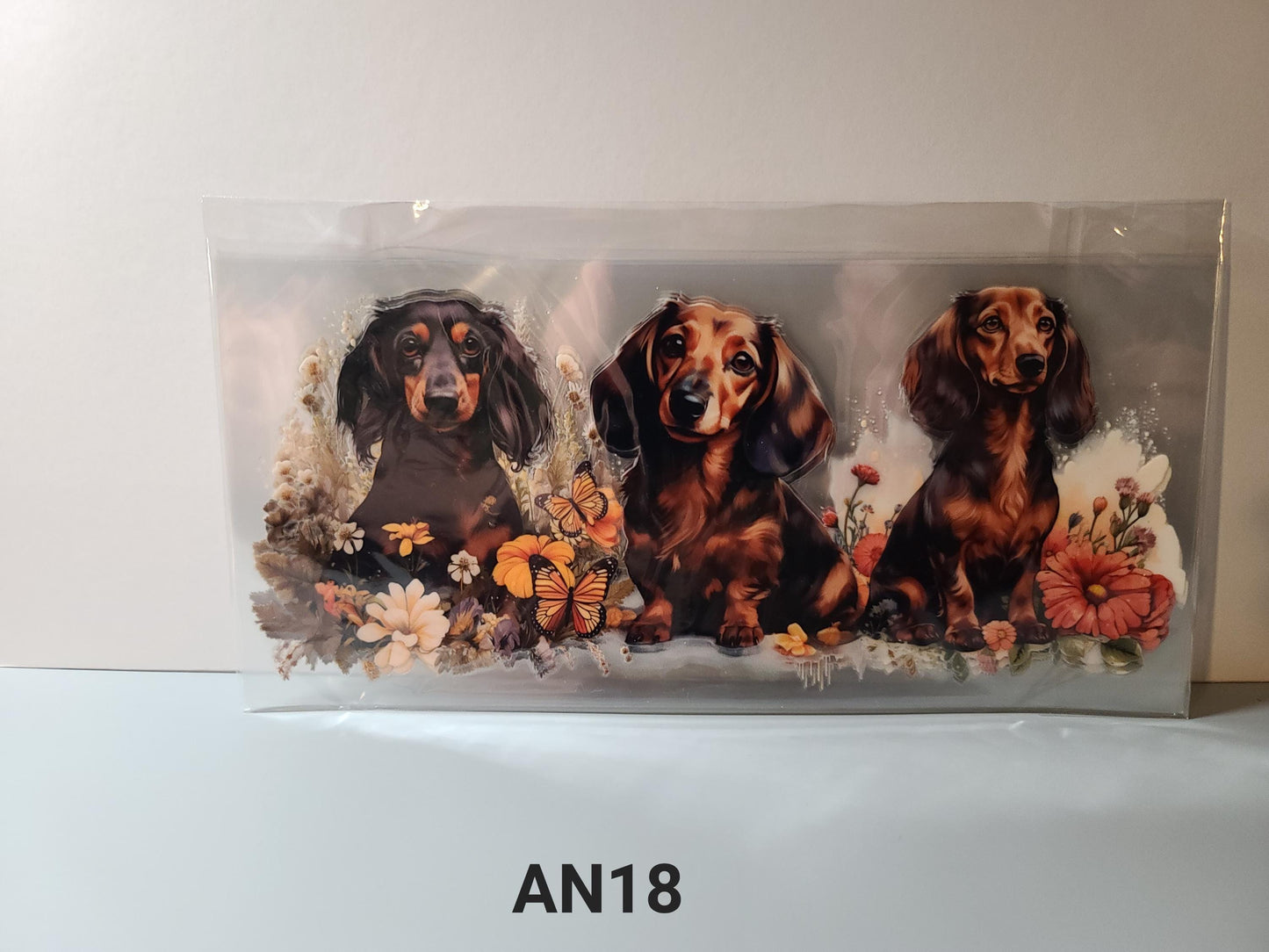 AN18