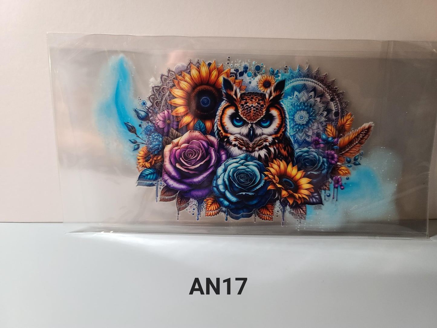 AN17