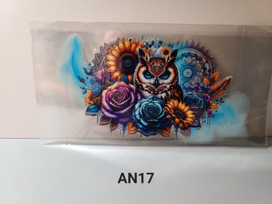AN17