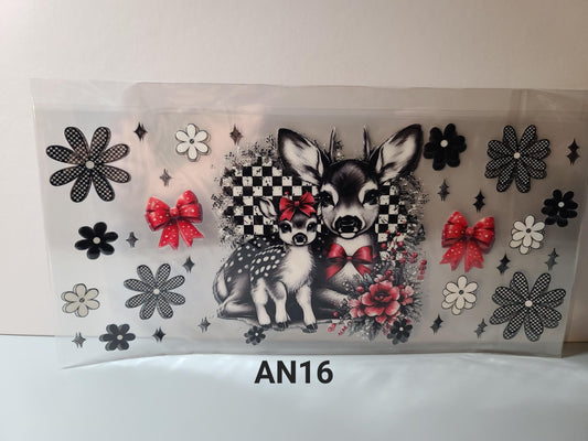 AN16