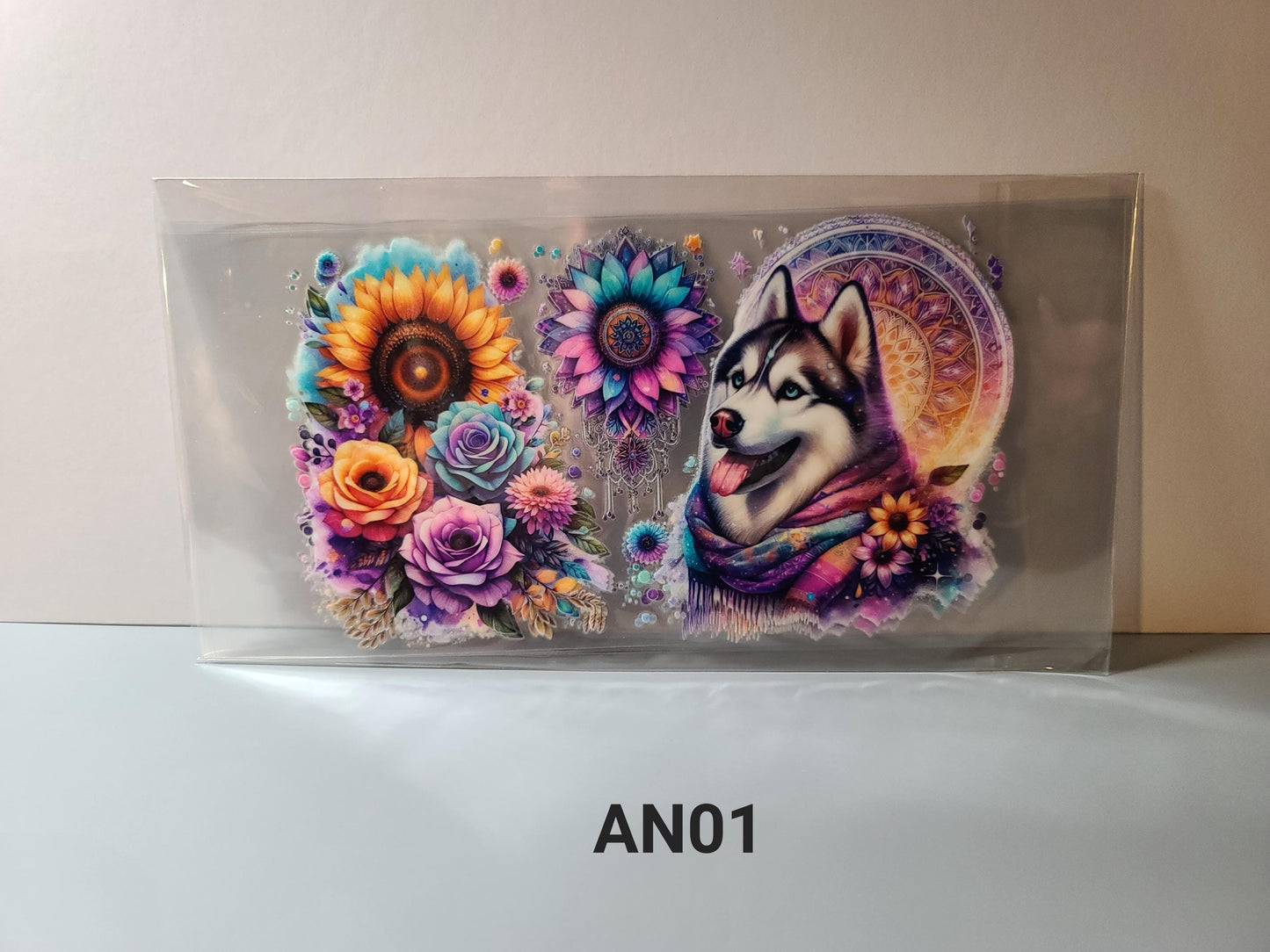 AN01