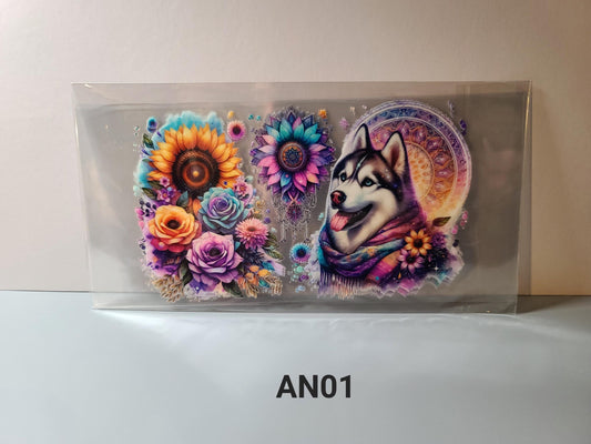 AN01